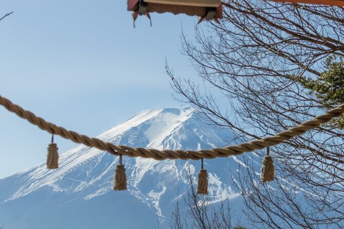 Mt. Fuji Private Tour From Tokyo With English Guide - Fitness Requirements