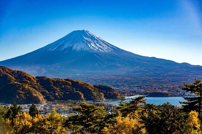 Mt. Fuji Private Tour From Tokyo With English Guide - Cancellation Policy