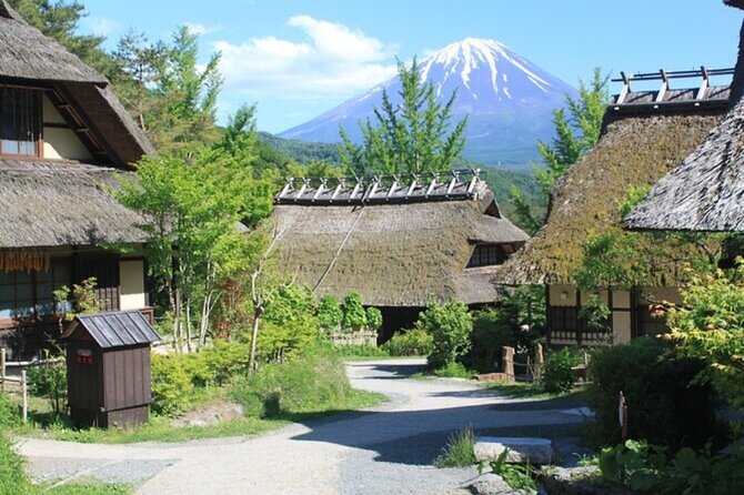 Mt. Fuji Private Tour From Tokyo With English Guide - Itinerary and Highlights