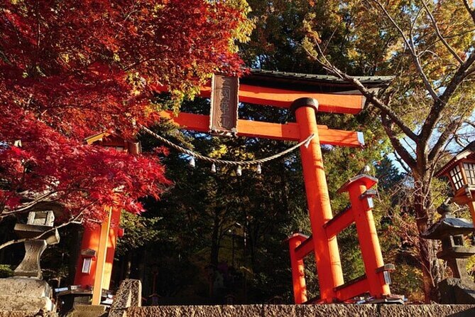 Mt. Fuji Private Tour From Tokyo With English Guide - Guide and Experience
