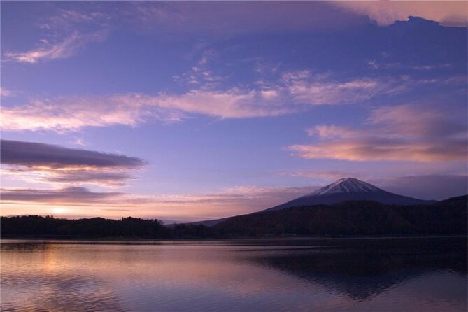 Mt Fuji Private Tour With Daily Chauffeur - Tour Details