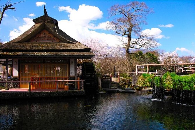 Mt Fuji Private Tour With Daily Chauffeur - Exploring Mount Fuji