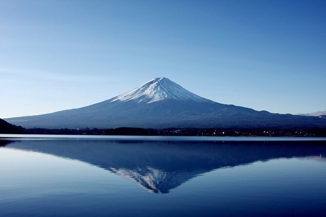 Mt Fuji Private Tour With Daily Chauffeur - Highlights of the Tour