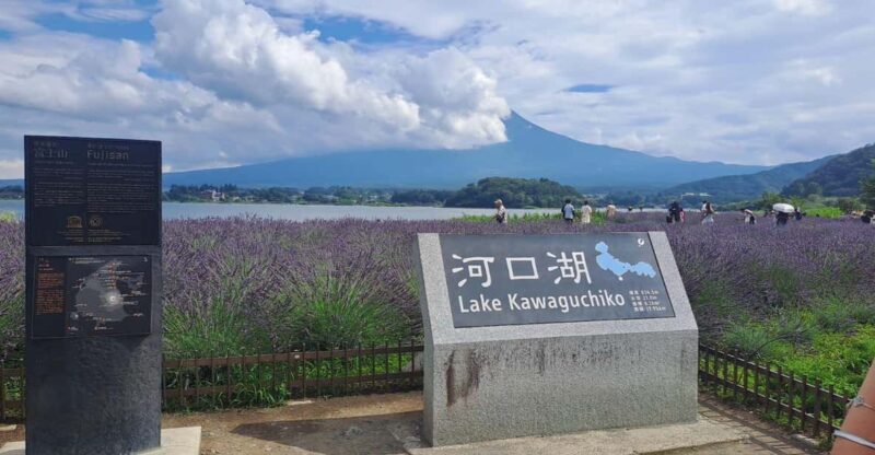 Mt. Fuji: Private Tour With English Guide - Itinerary Highlights