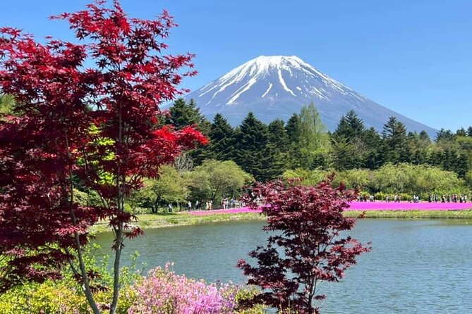 Mt Fuji Private Tour With English Speaking Driver - Key Points