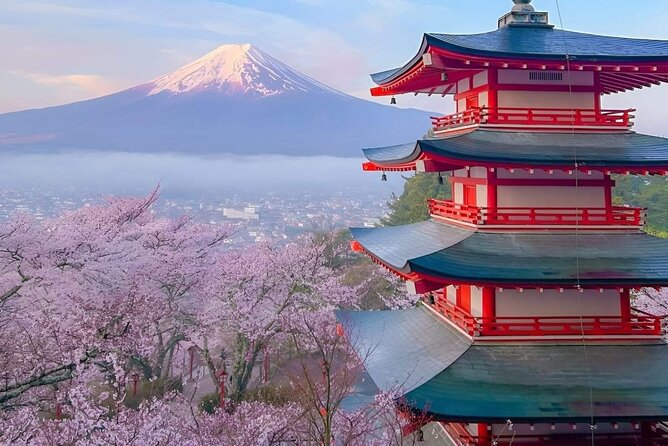 Mt Fuji Private Tour With English Speaking Driver - Tour Conditions