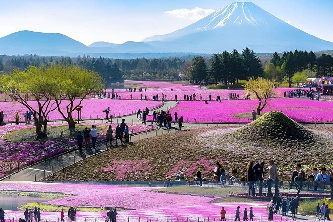 Mt Fuji Private Tour With English Speaking Driver - Booking and Cancellation Policy