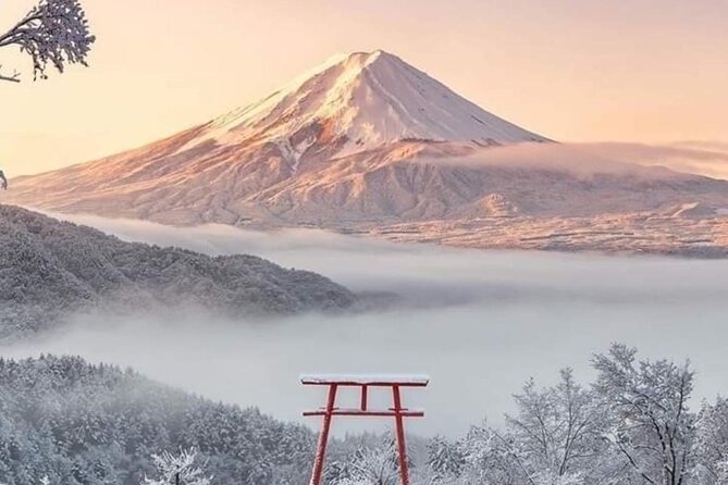 Mt Fuji Private Tour With English Speaking Driver - Exploring the Iconic Landmark