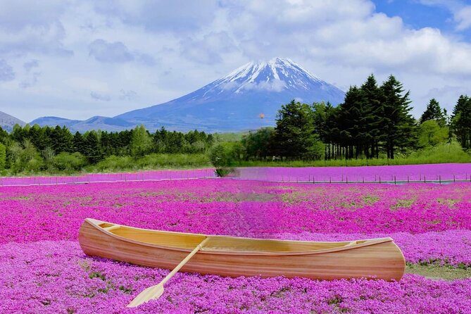 Mt Fuji Private Tour With English Speaking Driver - Practical Tips for the Tour