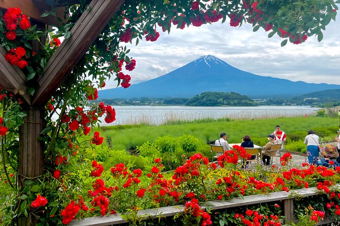 Mt Fuji Private Tour With English Speaking Driver - Accessibility and Participation
