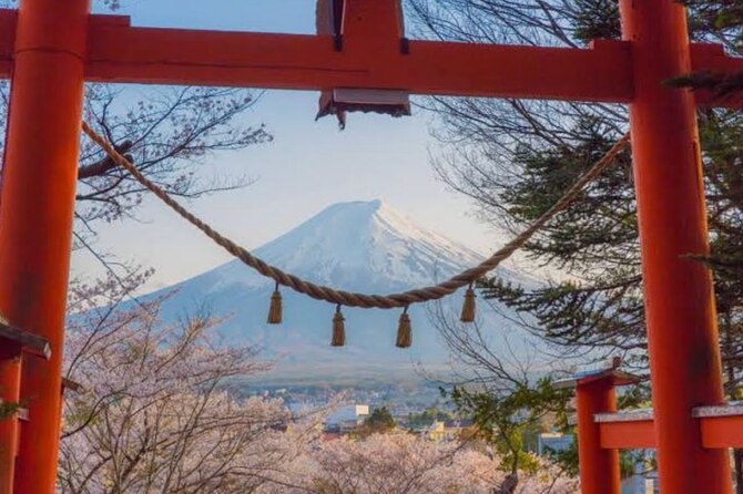 Mt Fuji Private Tour With English Speaking Driver - Pickup and Meeting Points