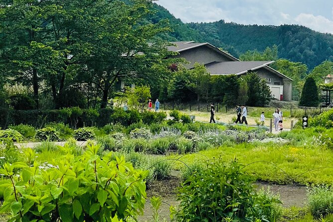 Mt Fuji Private Tour With English Speaking Driver - Itinerary and Highlights