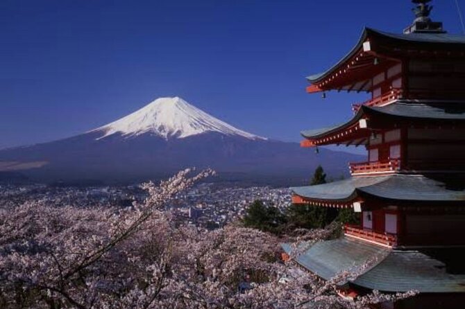 Mt Fuji Private Tour With English Speaking Driver - Customer Feedback and Reviews