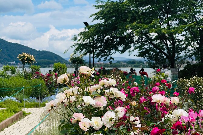 Mt Fuji Private Tour With English Speaking Driver - Booking and Cancellation Policy