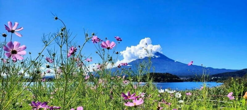 Mt. Fuji Private Tour With Hotel Pick Up From Tokyo - Key Points