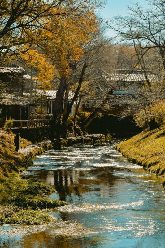 Mt. Fuji Private Tour With Hotel Pick Up From Tokyo - Final Thoughts