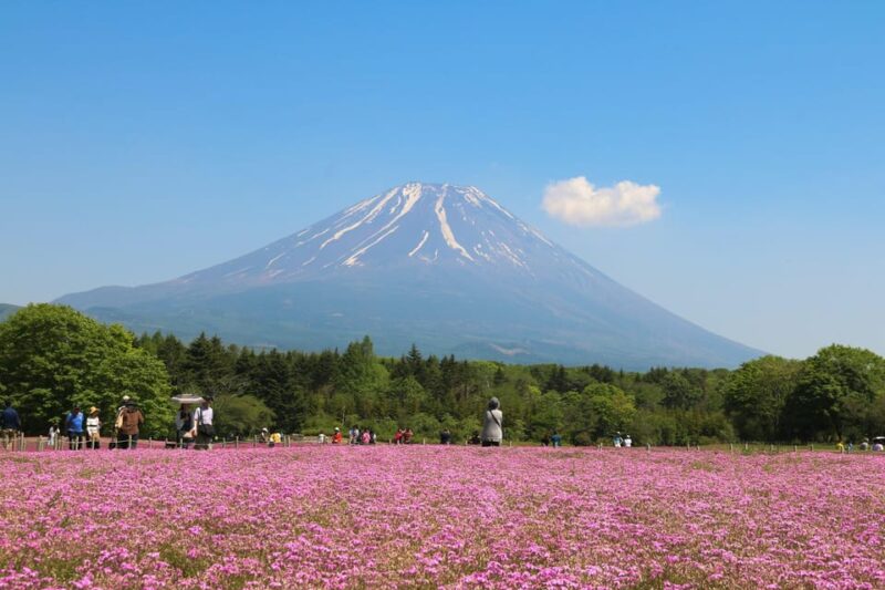 Mt.Fuji Private Tour With Pick & Drop Service - Cultural and Natural Significance