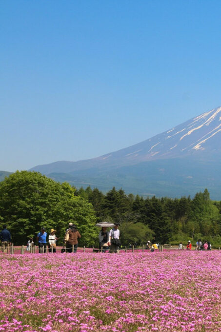 Mt.Fuji Private Tour With Pick & Drop Service - Inclusions and Accessibility