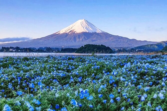 Mt Fuji Scenic Views and Lake Kawaguchi Floral Tour From Tokyo - Inclusions