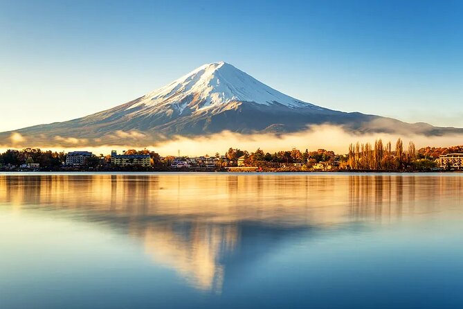 Mt Fuji Scenic Views and Lake Kawaguchi Floral Tour From Tokyo - Important Notes