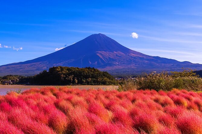 Mt Fuji Scenic Views and Lake Kawaguchi Floral Tour From Tokyo - Exploring Mt. Fujis Scenic Beauty