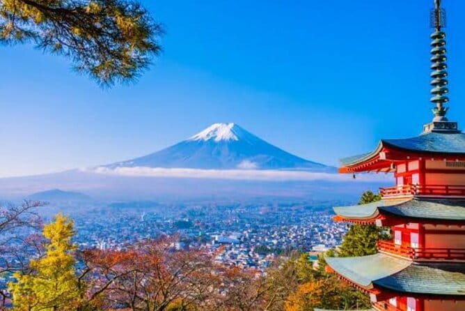 Mt. Fuji Shiba Sakura Festival and Hoto Noodle Making - Hands-on Hoto Noodle Making Experience
