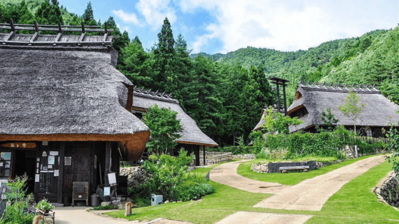 Mt Fuji Sightseeing Private Tour With English Speaking Guide - Exclusions and Recommendations