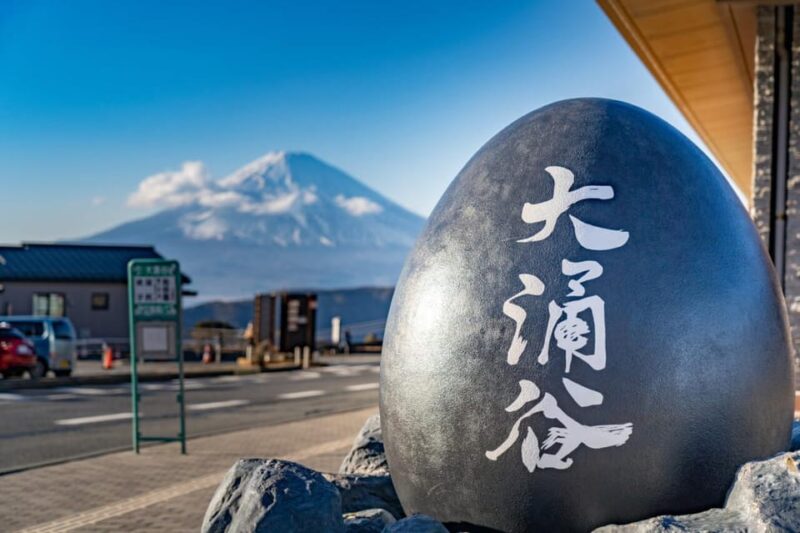 Mt. Fuji : Tailor-Made Day Trip With English Speaking Driver - Itinerary Highlights