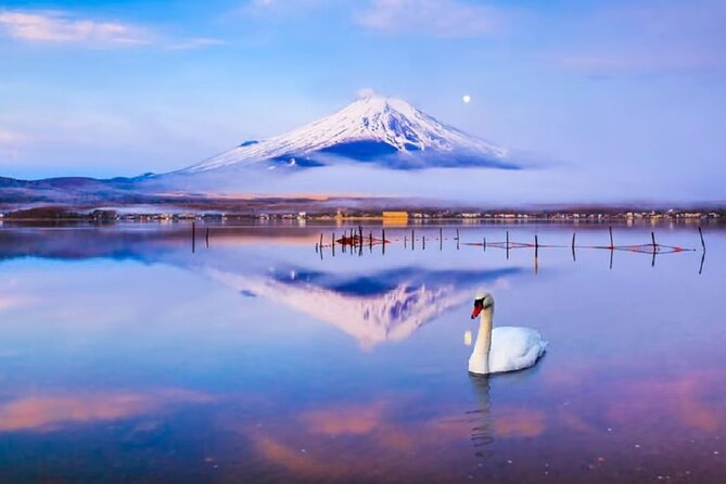 Mt. Fuji to Lake Kawaguchi, Lake Yamanaka and Onsen Day Tour - Accessibility and Participation