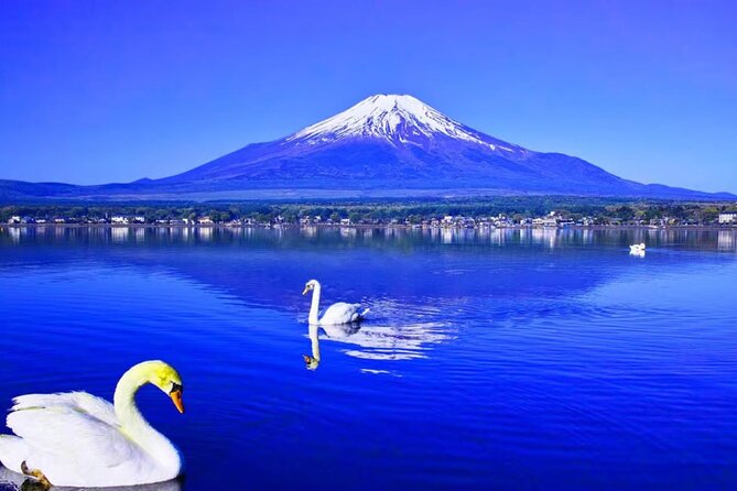 Mt. Fuji to Lake Kawaguchi, Lake Yamanaka and Onsen Day Tour - Additional Information and Requirements