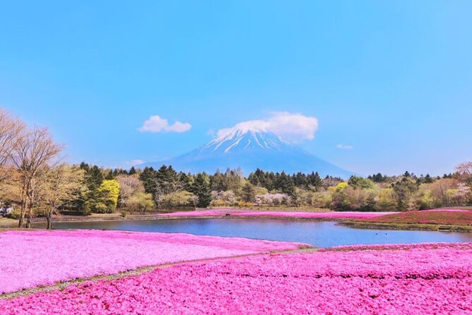 Mt. Fuji to Lake Kawaguchi, Lake Yamanaka and Onsen Day Tour - Pricing and Cancellation Policy