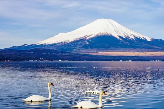 Mt. Fuji to Lake Kawaguchi, Lake Yamanaka and Onsen Day Tour - Experiencing the Onsen