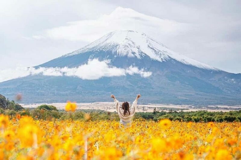 Mt. Fuji Top Spots Tour: Chureito Pagoda,Lake Views And More - A Well-Structured Day with Plenty of Highlights