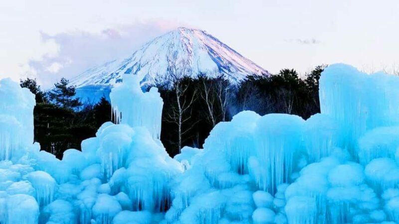 Mt. Fuji Top Spots Tour: Chureito Pagoda,Lake Views And More - The Sum Up