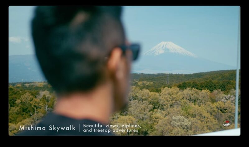 Mt. Fuji/ Tour Delivered and Guided by a Top-Tier Driver - Local Lakes and Shrines