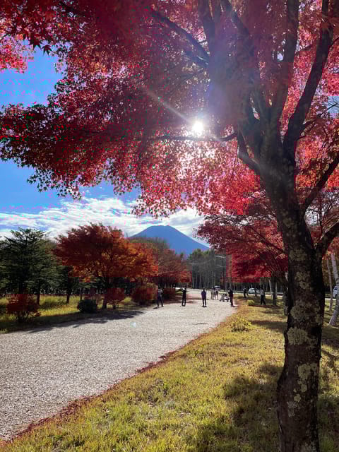Mt. Fuji/ Tour Delivered and Guided by a Top-Tier Driver - Booking and Cancellation