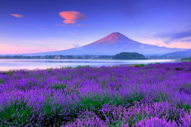 Mt. Fuji Tour in Lake Kawaguchi and Oshino Hakkai - Accessibility and Participation