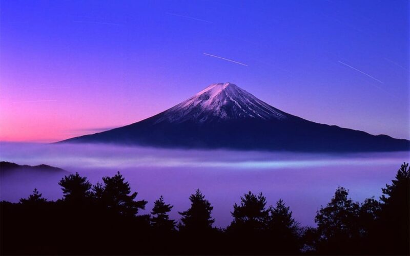 Mt. Fuji Tour With an English Speaking Driver - Highlights of the Itinerary