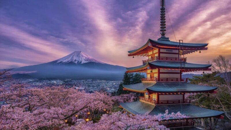 Mt. Fuji Tour With an English Speaking Driver - Excluded Items and Expenses