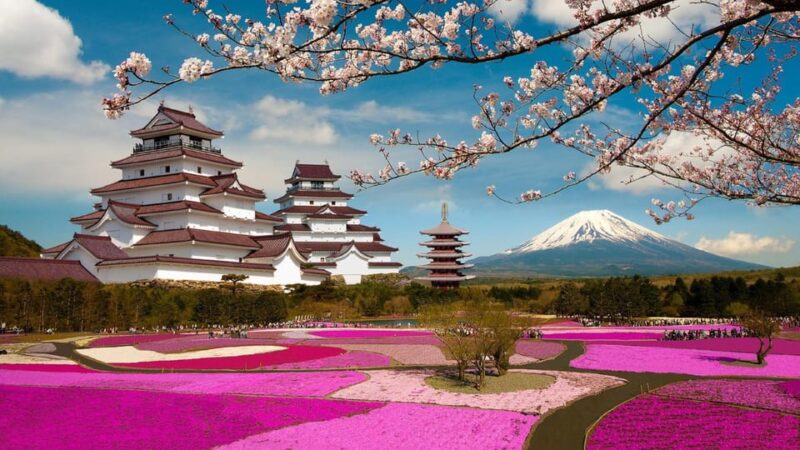 Mt Fuji Tour With Experienced English Driver - Key Points