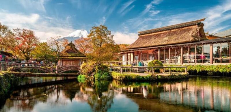 Mt Fuji Tour With Experienced English Driver - Included Services