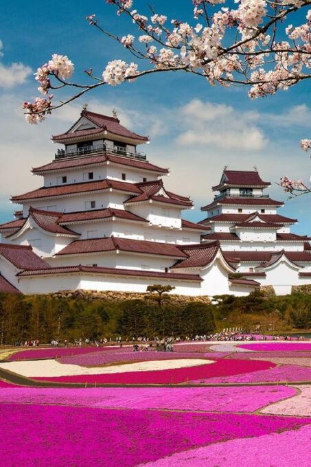 Mt Fuji Tour With Experienced English Driver - Tour Highlights