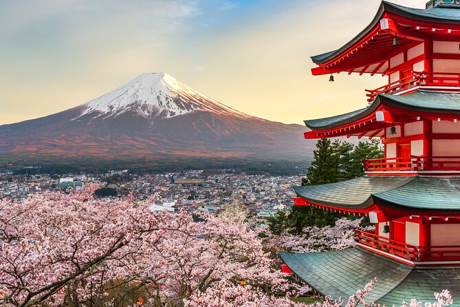 Mt Fuji Tour With Private English Speaking Driver From Tokyo - Private Vehicle and Chauffeur Service