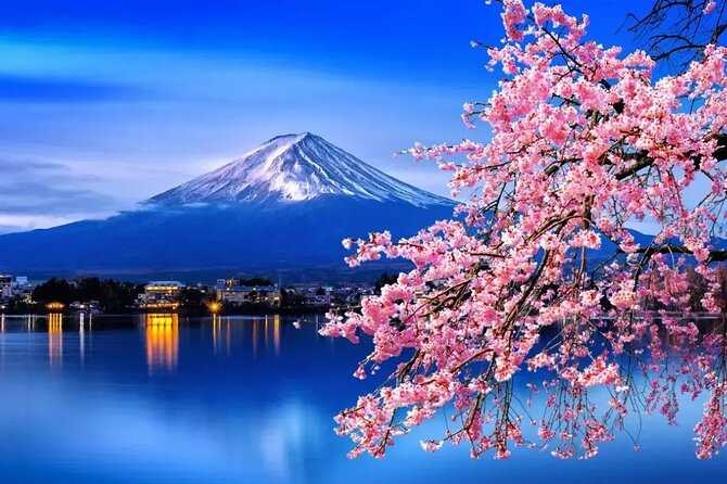 Mt. Fuji Tours With Kawaguchi Lake Ropeway View English Speaking - Inclusions and Exclusions
