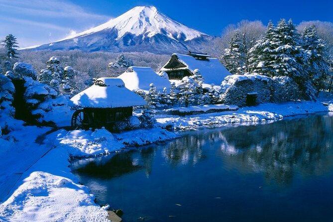 Mt. Fuji Tours With Kawaguchi Lake Ropeway View English Speaking - Tour Experience and Itinerary