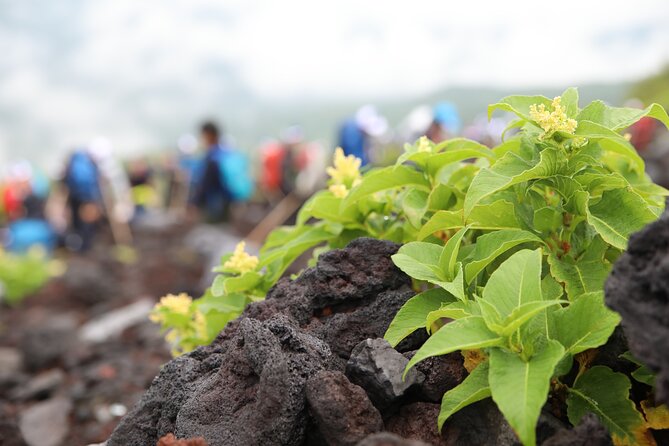 Mt.Fuji Trekking 1 Day Tour up to the Summit - Inclusions and Amenities