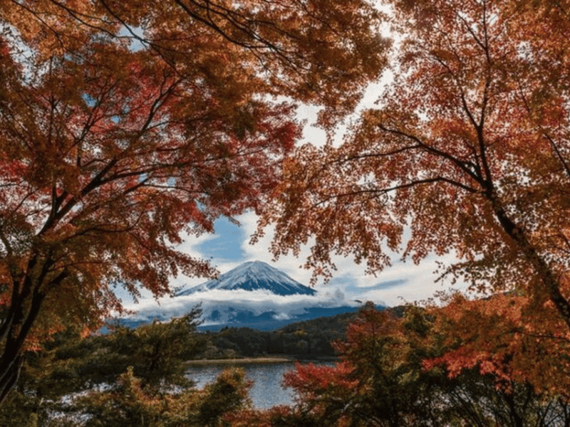 Mt Fuji : Unforgettable Tour With English Tour Guide - Key Points