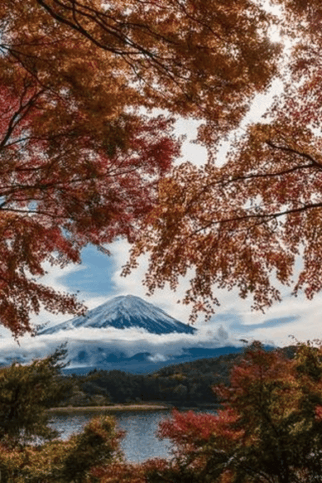 Mt Fuji : Unforgettable Tour With English Tour Guide - Lake Kawaguchiko