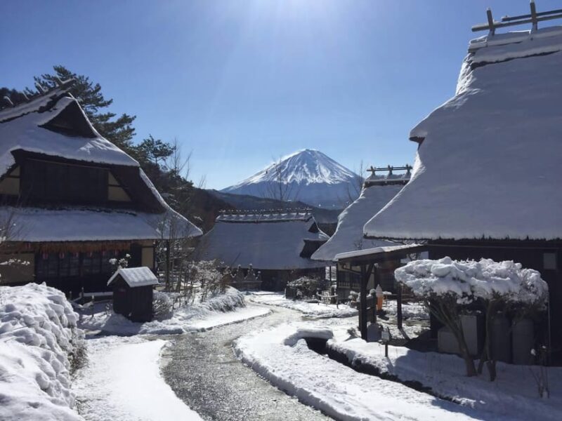 Mt. Fuji Viewing & Suntory Hakushu Distillery Whisky Museum - Whisky Experience