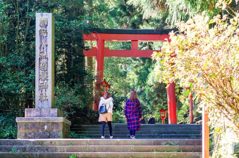 Mt.Fuji:Hakone Cruise, Ropeway&Oshino Hakkai Full-day Tour - Key Points